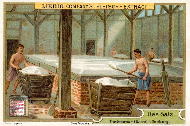 Só: szárítóterem, Luneburg, Németország (chromolitho) alkotó: European School