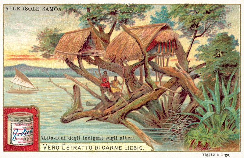 szamoai faház (chromolitho) alkotó: European School