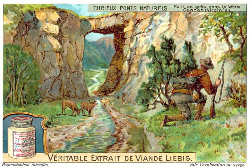 Homokkő híd a White Canyonban, Virginia (chromolitho) alkotó: European School