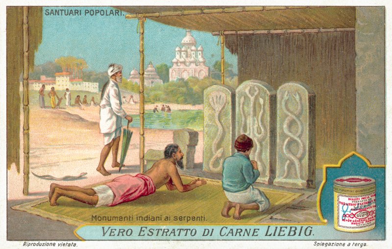 Kígyóemlékek Indiában (chromolitho) alkotó: European School