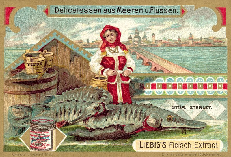 tokhal (chromolitho) alkotó: European School