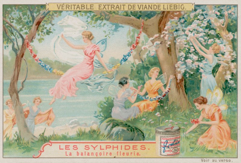 Szilfek és egy virághinta alkotó: European School