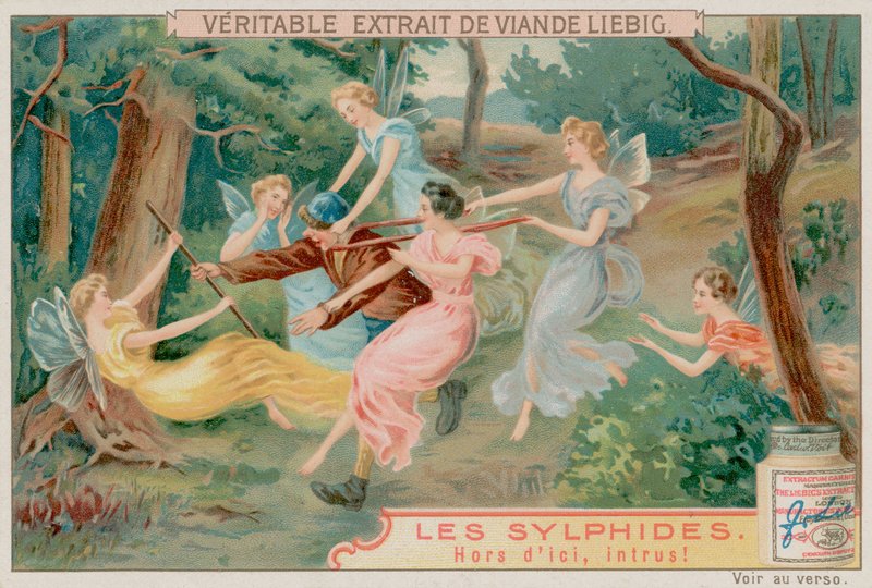 Sylphs és egy betolakodó alkotó: European School