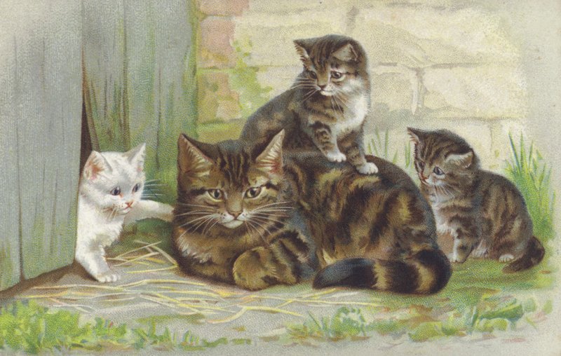 Cirmos macska három kiscicával (chromolitho) alkotó: European School