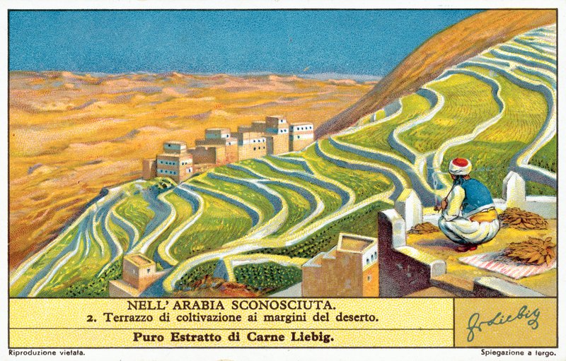 Teraszos termesztés a sivatag szélén (chromolitho) alkotó: European School