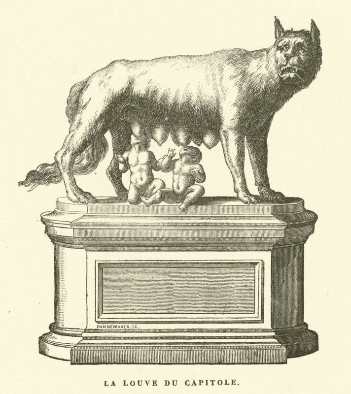 A Capitolium farkasa, bronz szobor, amely a szopós farkast ábrázolja, Romulust és Remust, Róma ikeralapítóit (metszet) alkotó: European School