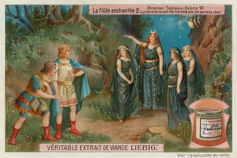 Az éj királynője találkozik Taminóval és Papagenóval alkotó: European School