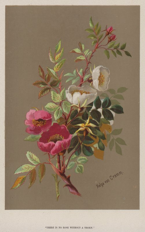 "Nincs rózsa tövis nélkül" (chromolitho) alkotó: European School