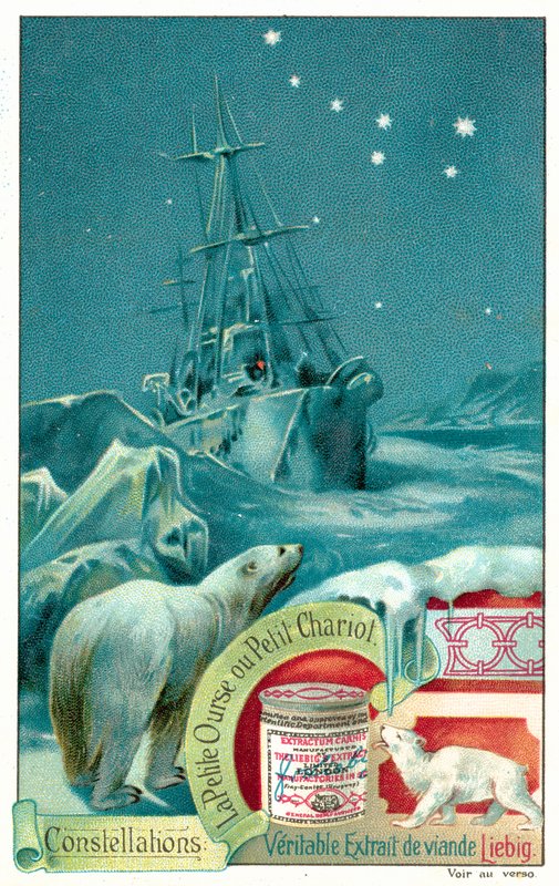 Ursa Minor (chromolitho) alkotó: European School