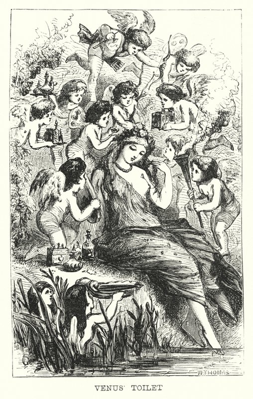 Vénusz vécéje (metszet) alkotó: European School