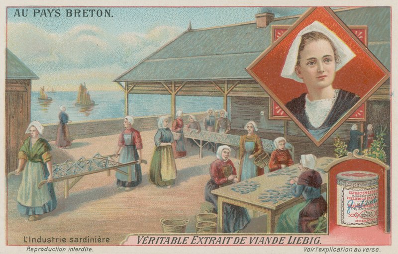 Szardínia készítő nők (chromolitho) alkotó: European School