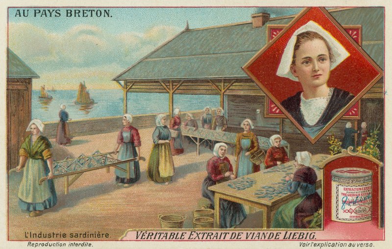 Szardínia előkészítő nők alkotó: European School