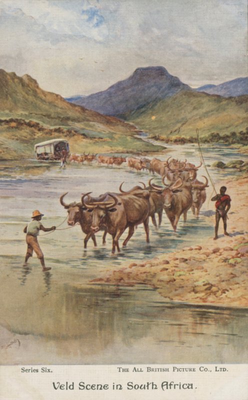 Szarvasmarhát hajtó gazdák, Dél-Afrika (színes litho) alkotó: Evelyn Stuart Hardy