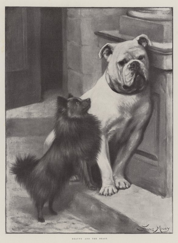 Szépség és a szőrny alkotó: Fannie Moody