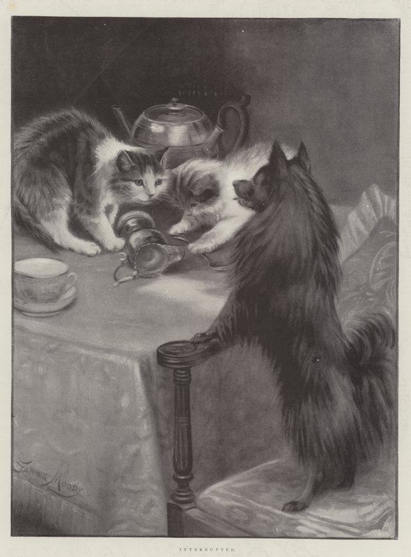 Megszakított alkotó: Fannie Moody