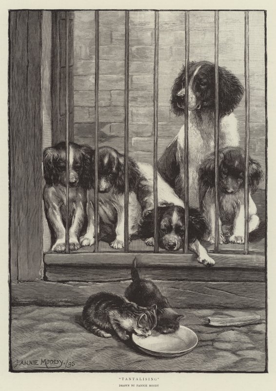 Izgalmas alkotó: Fannie Moody