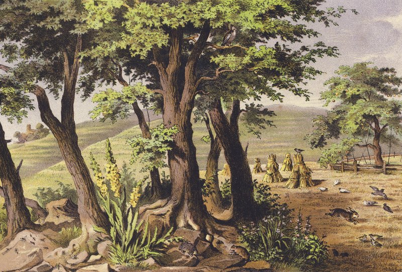 Augusztus (színes litográfia) alkotó: Ferdinand Karl Klimsch