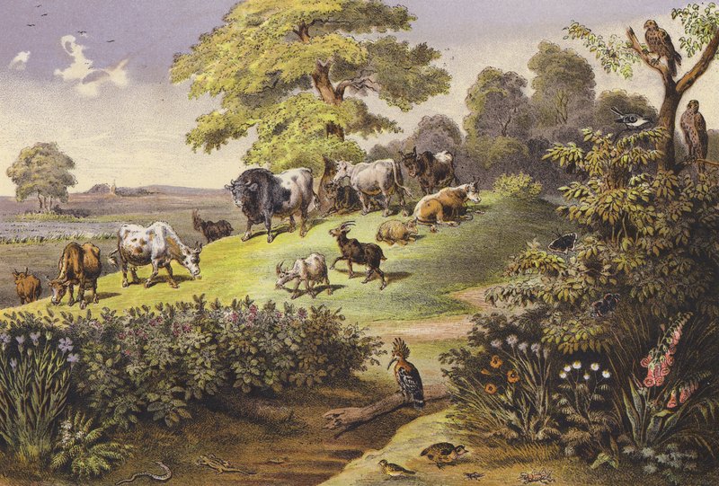 Július (színes litográfia) alkotó: Ferdinand Karl Klimsch