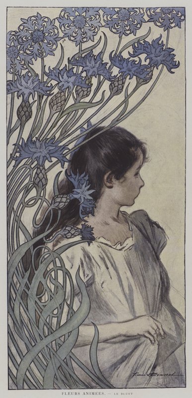 Fleurs Animees. Le Bluet. (Animált virágok: a Búzavirág) (színes litho) alkotó: Firmin (after) Bouisset