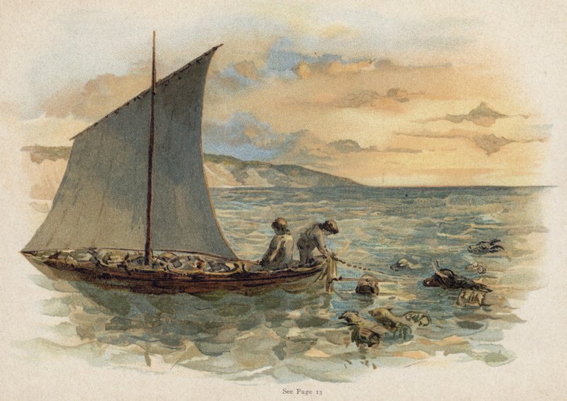 Jelenet a Svájci Robinson családból: az állatok kihozása a roncsból (chromolitho) alkotó: Florence Maplestone
