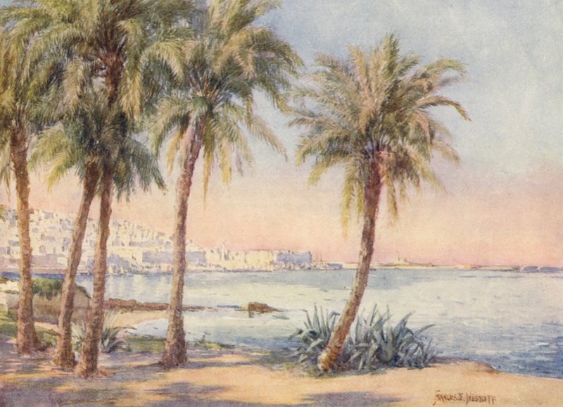Algír a Jardin d