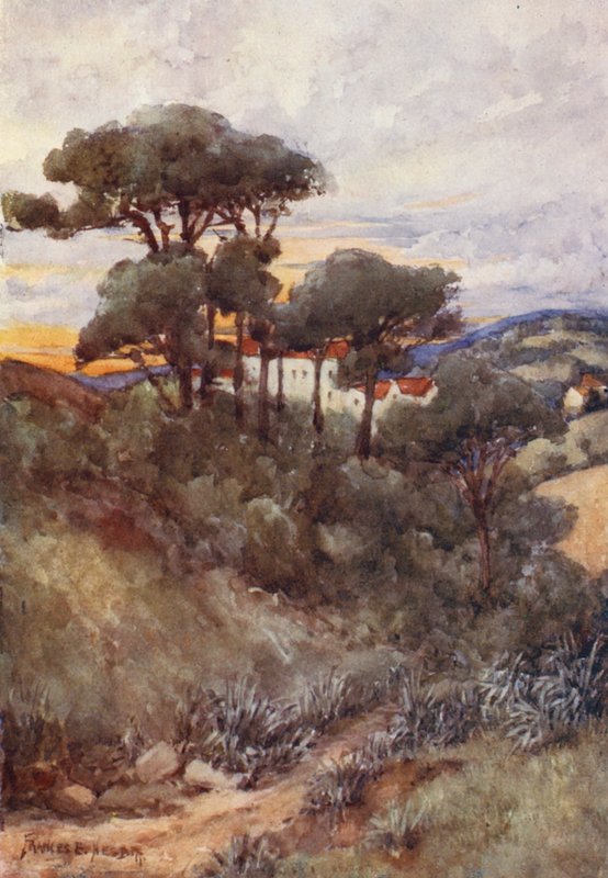 Stone Pines, Algír (színes litográfia) alkotó: Frances Nesbitt