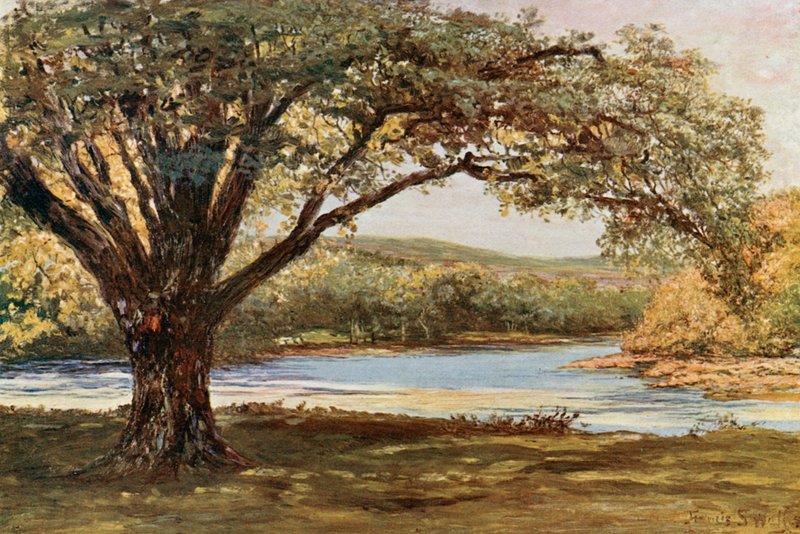 Az Avoca völgye alkotó: Francis S. Walker