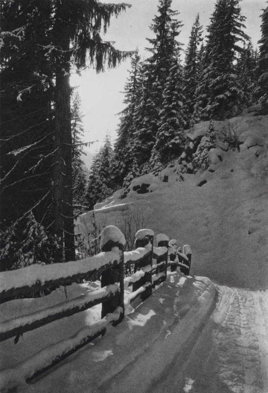 Az Alpok: Téli reggel, St Anton közelében (f/w fotó) alkotó: Francis Sydney Smythe