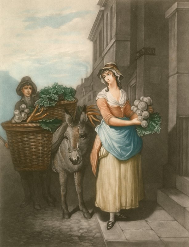 Fehérrépa és sárgarépa alkotó: Francis Wheatley