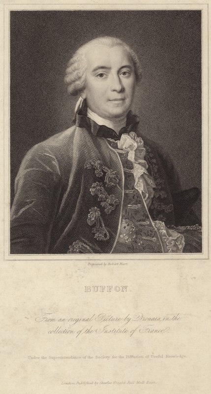 Georges-Louis Leclerc, Buffon grófjának portréja alkotó: Francois Hubert Drouais