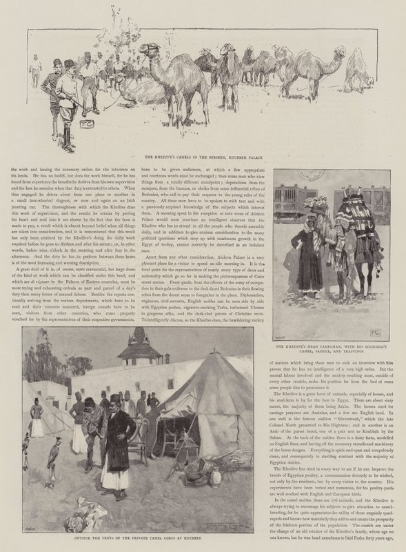 Látogatás a Koubbeh-palotában, a Khedive magánlakásában alkotó: Frank Craig