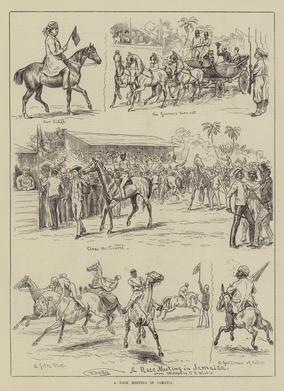 Versenytalálkozó Jamaicán alkotó: Frank Dadd