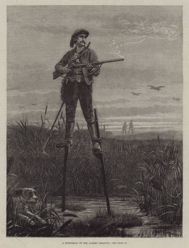 A Landes sportolója (Franciaország) alkotó: Frank Dadd