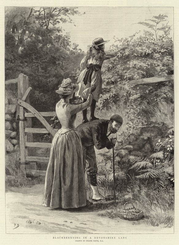 Szedret szedni a Devonshire Lane-en alkotó: Frank Dadd
