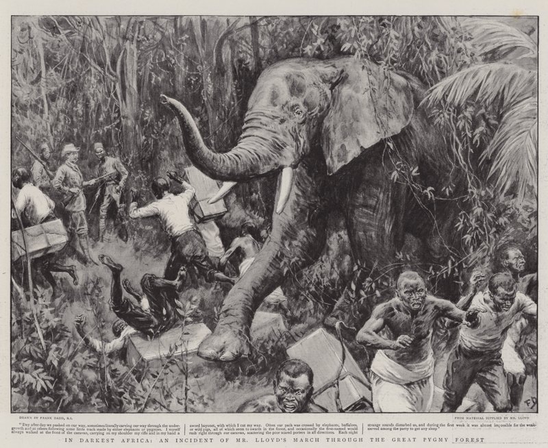 A legsötétebb Afrikában, Mr. Lloyd menetelése a nagy törpeerdőn keresztül alkotó: Frank Dadd