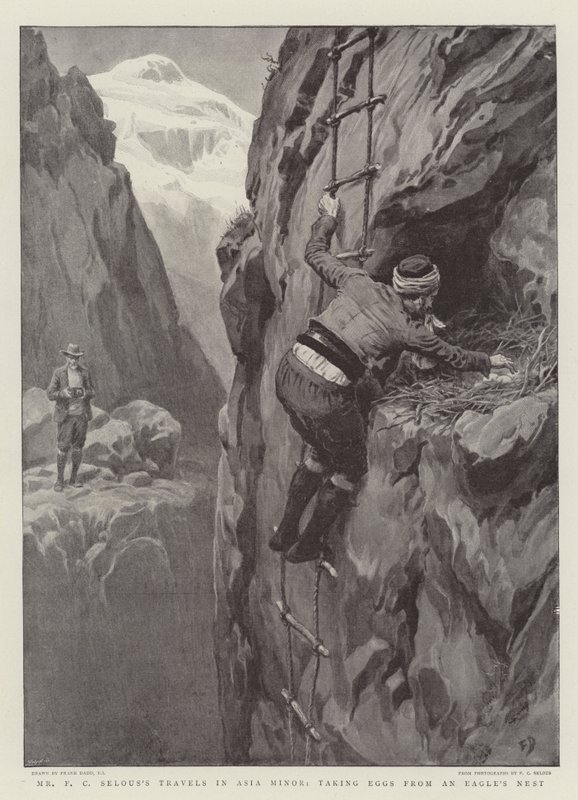 F. C. Selous úr utazásai Kis-Ázsiában, tojásokat szedve egy sasfészekből alkotó: Frank Dadd