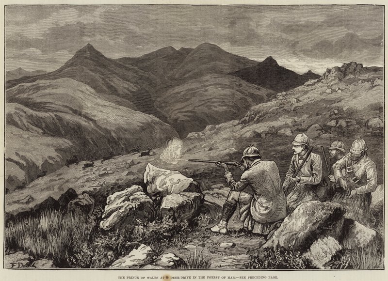 A walesi herceg a Deer-Drive-on a márciusi erdőben alkotó: Frank Dadd