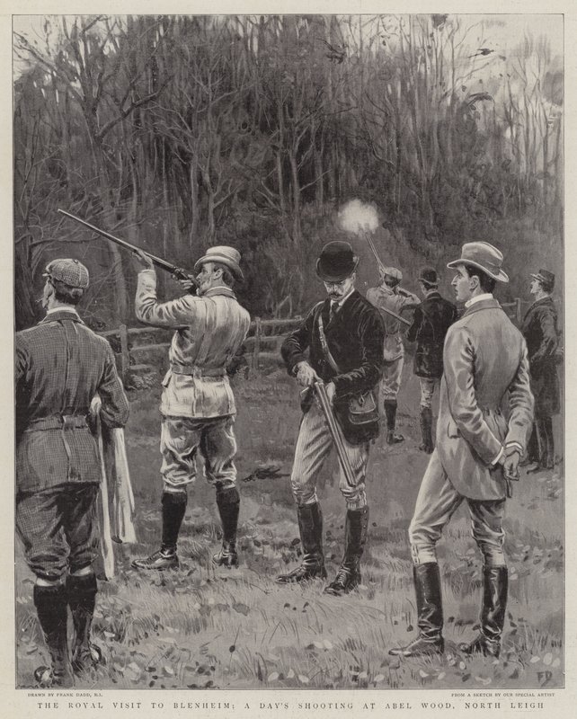 Királyi látogatás Blenheimben, egy napos lövöldözés Abel Woodban, North Leigh-ben alkotó: Frank Dadd