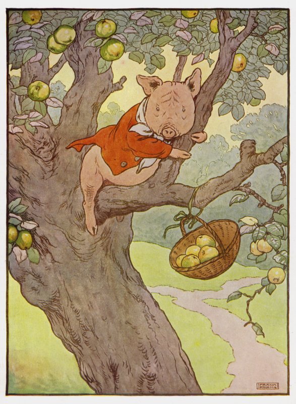 Illusztráció a három kismalachoz alkotó: Frank Adams