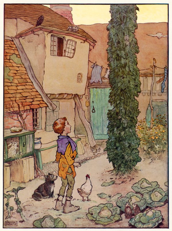 Jack és a babszár (színes litó) alkotó: Frank Adams