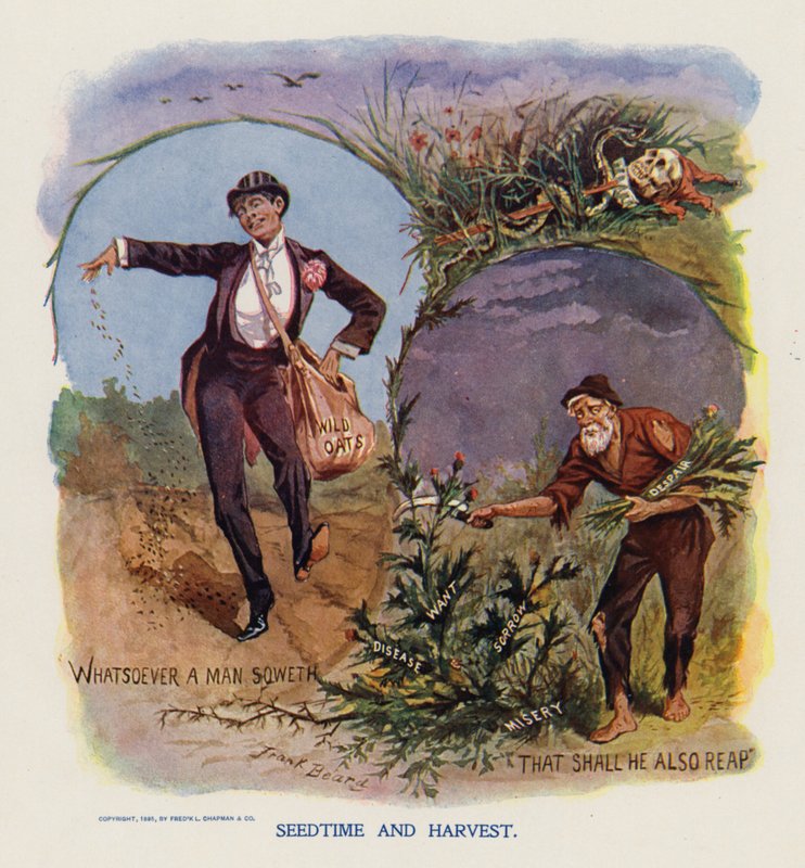 Magvetés és betakarítás (színes litográfia) alkotó: Frank Beard