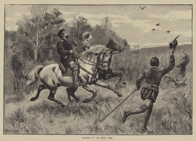 Hawking a régi időkben alkotó: Frank Dadd