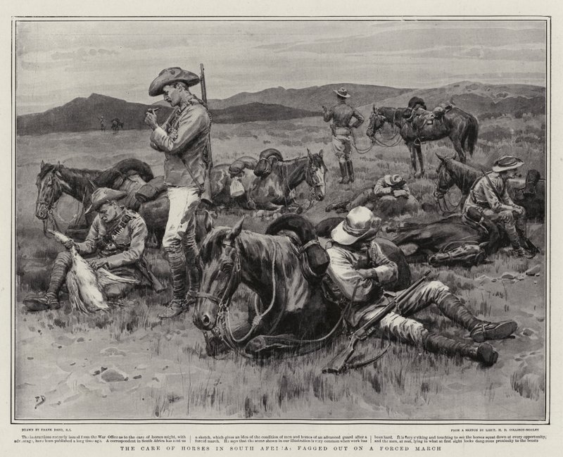 A lovak gondozása Dél-Afrikában, egy erőltetett menet során alkotó: Frank Dadd
