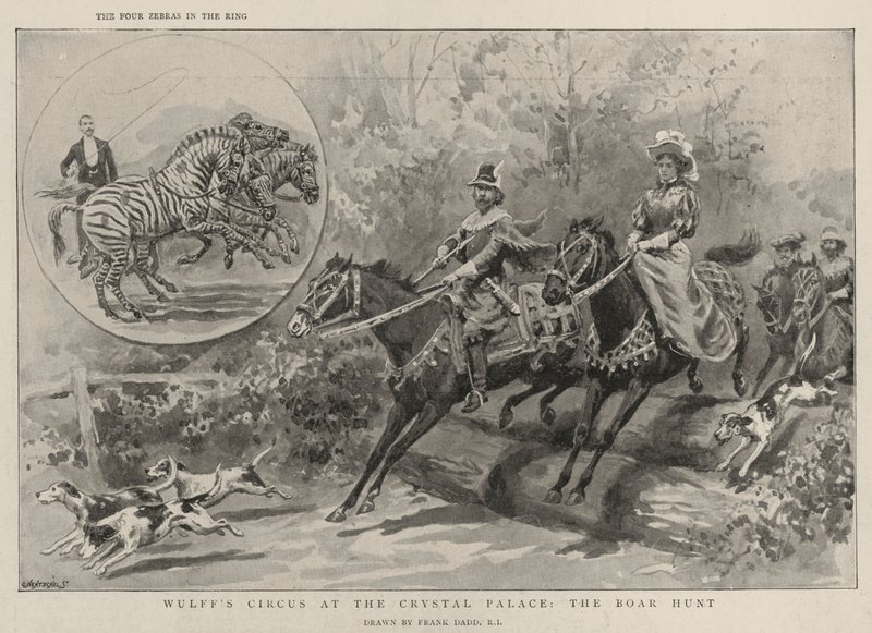 Wulff-cirkusz a Kristálypalotában, a Vaddisznóvadászat alkotó: Frank Dadd