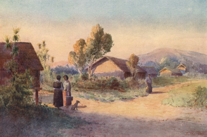 Új-Zéland: (színes litográfia) alkotó: Frank H Wright