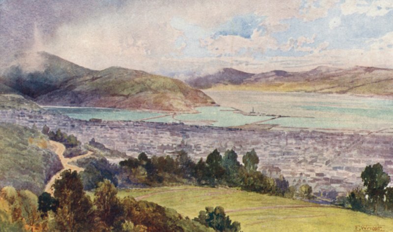 Új-Zéland: Dunedin (színes litográfia) alkotó: Frank H Wright