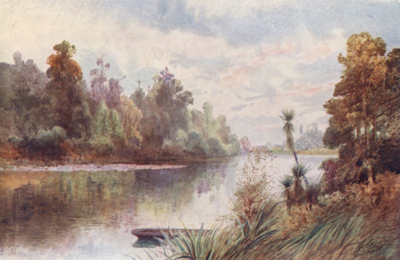 Új-Zéland: Pelorus folyón (színes litográfia) alkotó: Frank H Wright