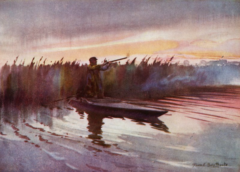Norfolk Broads: Flight-lövés (színes litho) alkotó: Frank Southgate