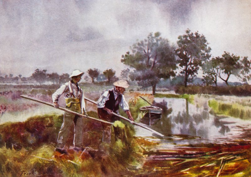 Norfolk Broads: Marshmen Weed-Lifting alkotó: Frank Southgate