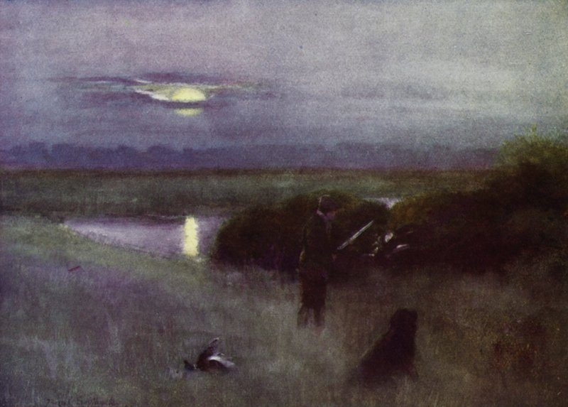 Norfolk Broads: Holdkelte, repülés közben (színes litho) alkotó: Frank Southgate